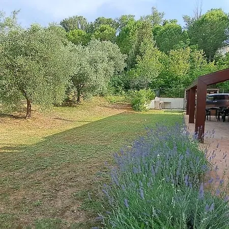 Papaveri Del Conero Affittacamere Osimo